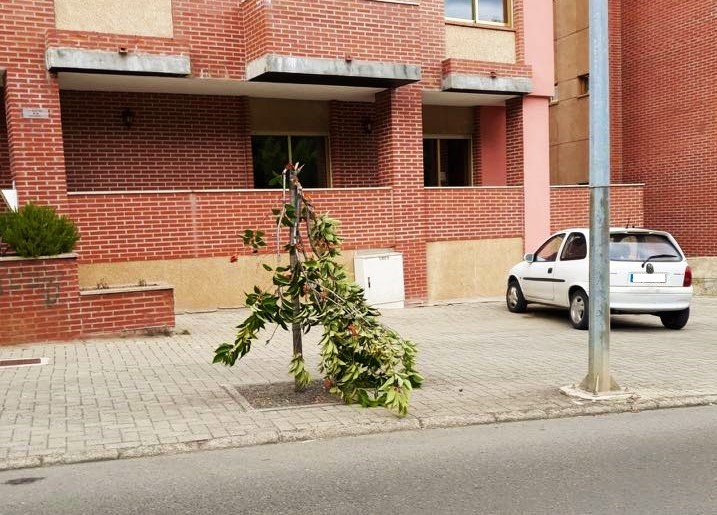 VANDALOS