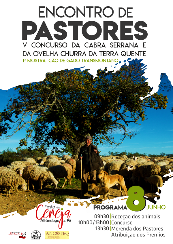 V Encontro de Pastores