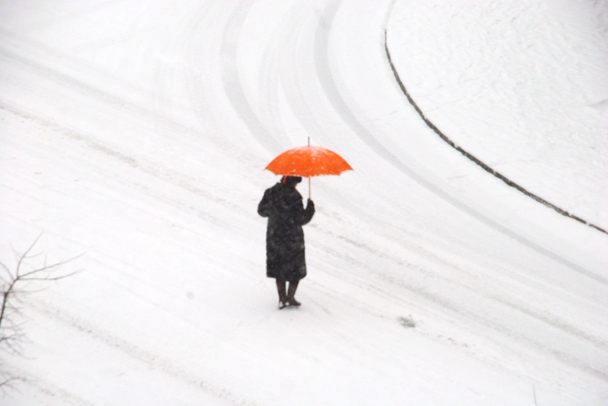 NEVE