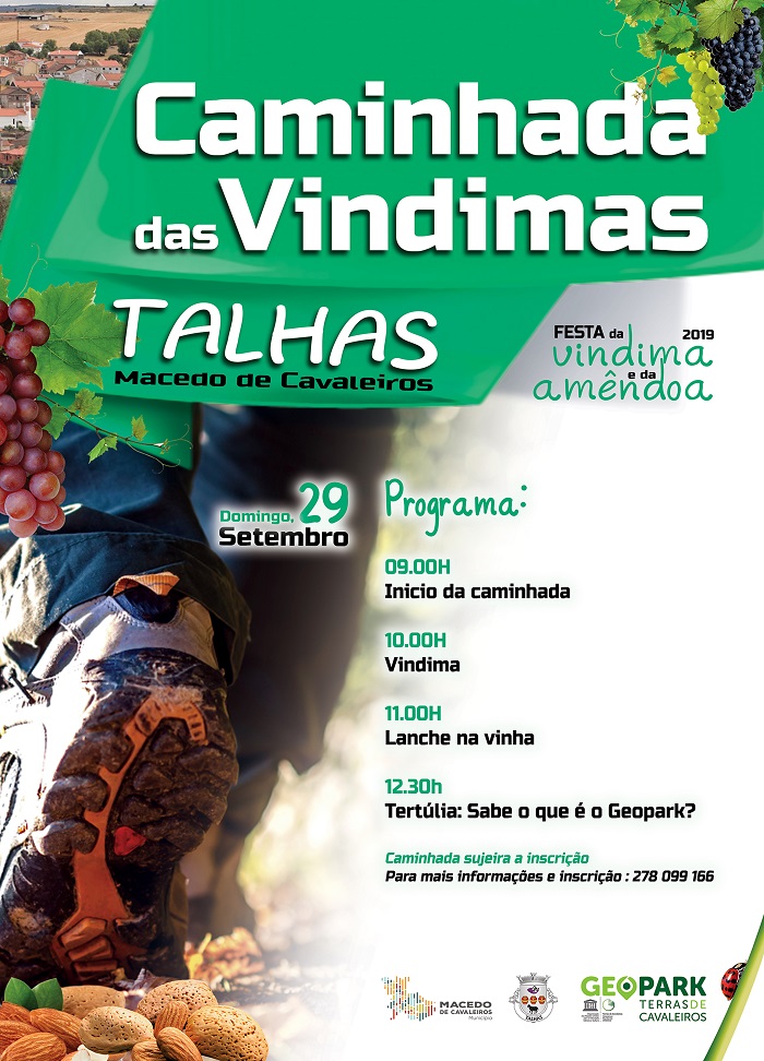 cAMINHd