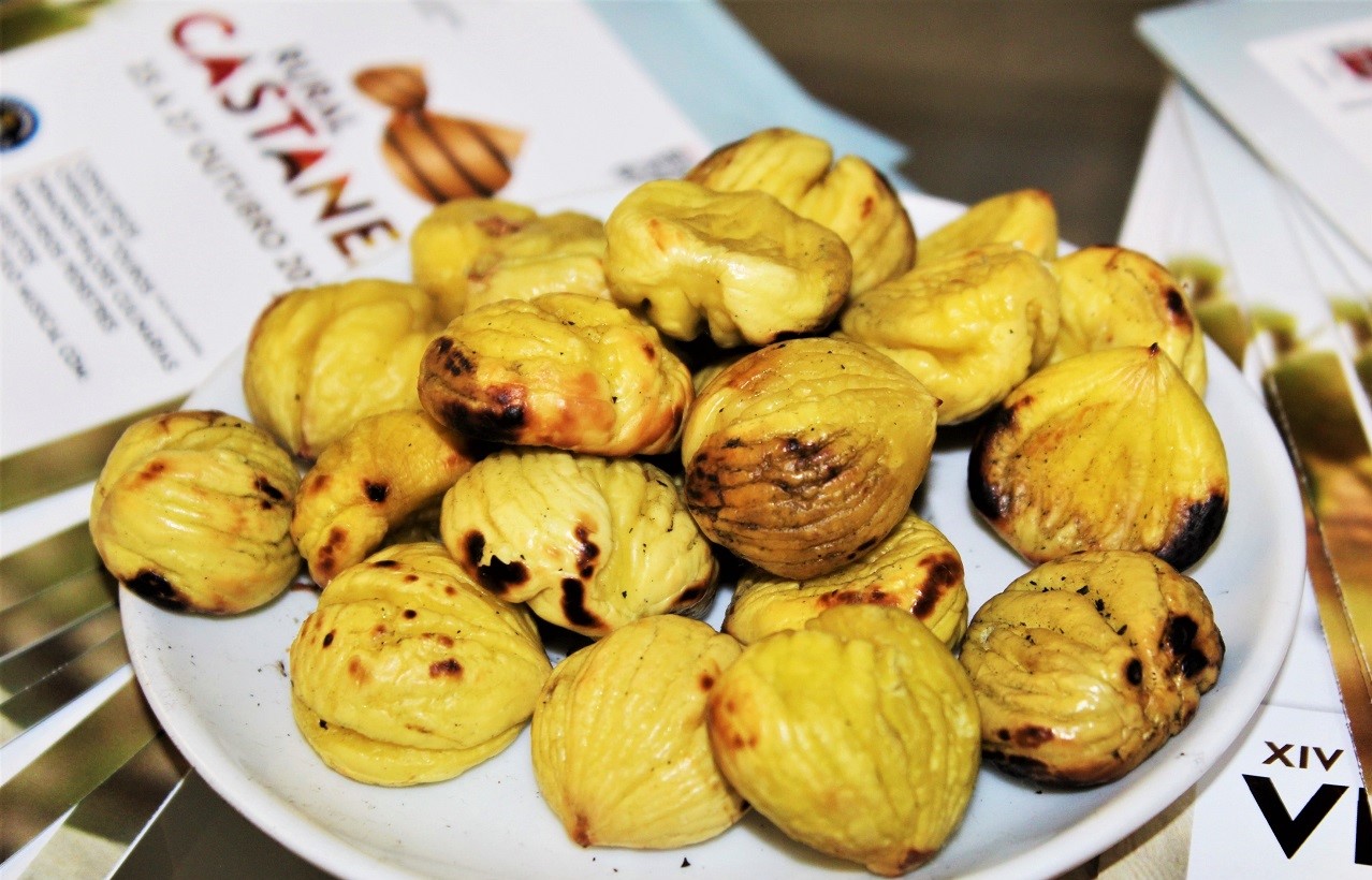 castanea